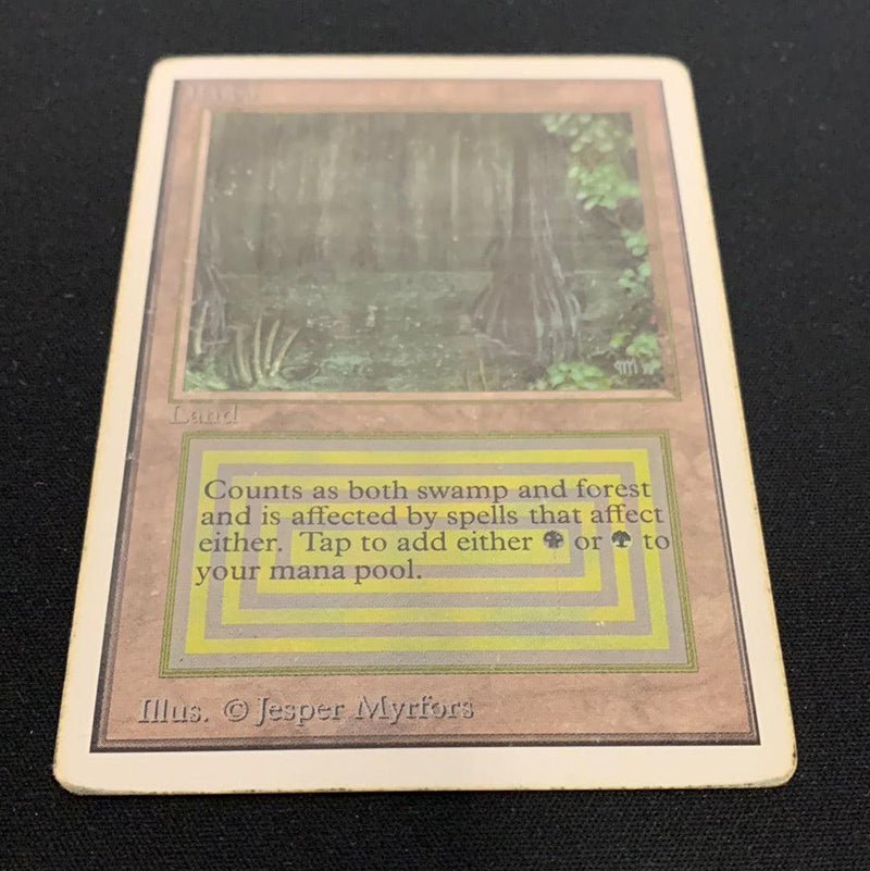 Magic the Gathering Bayou - Unlimited 