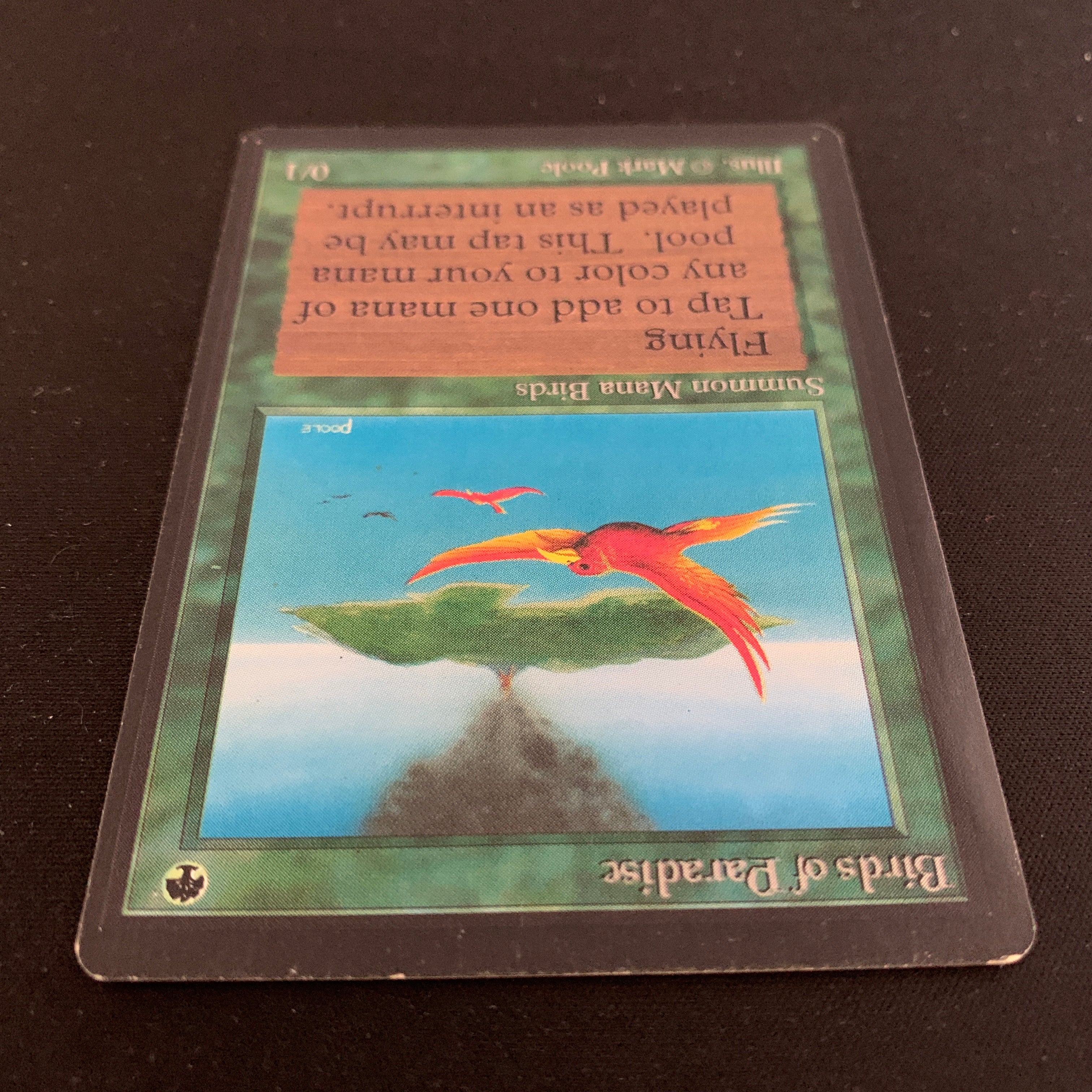 MTG Singles - Birds of Paradise - Beta - 