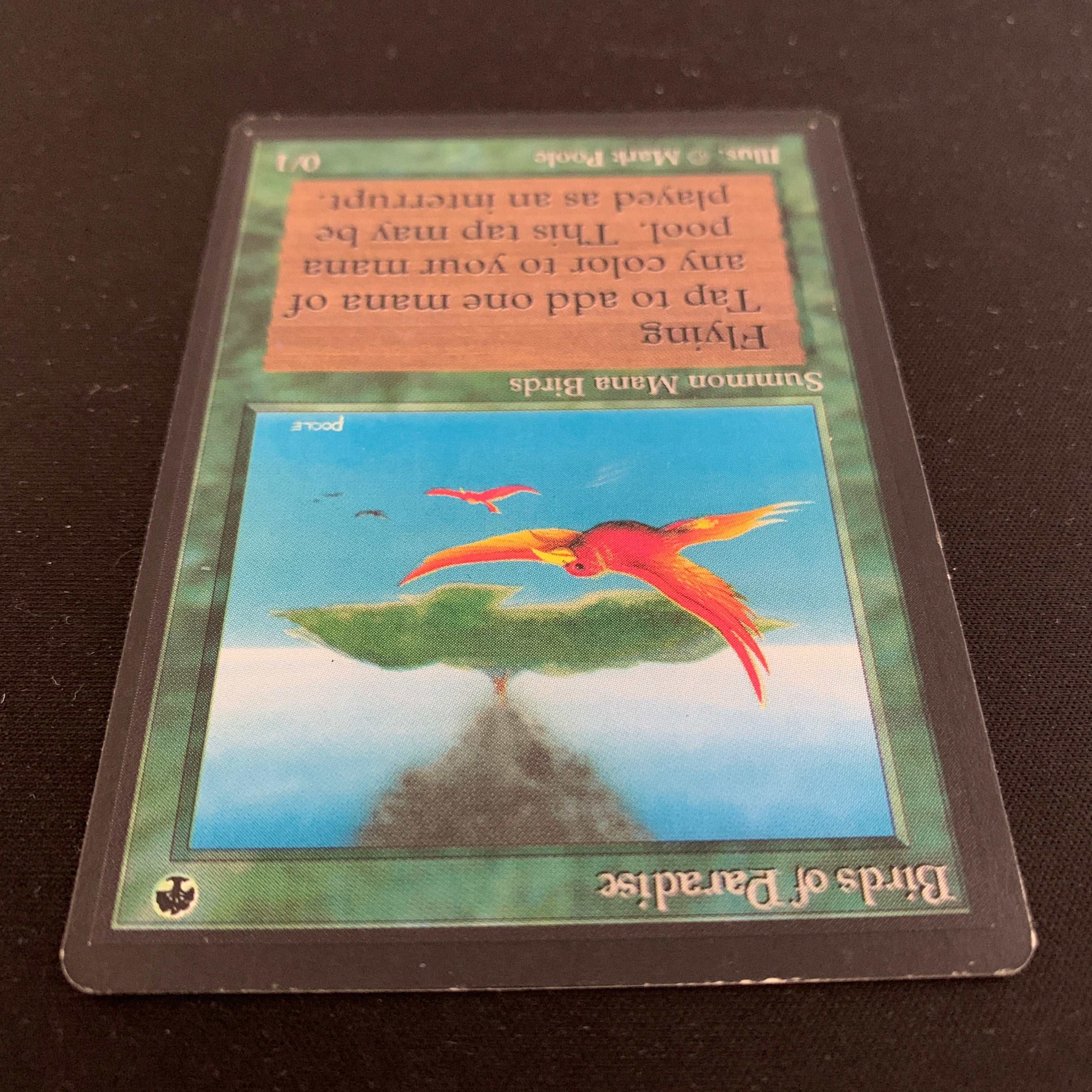 MTG Singles - Birds of Paradise - Beta - 