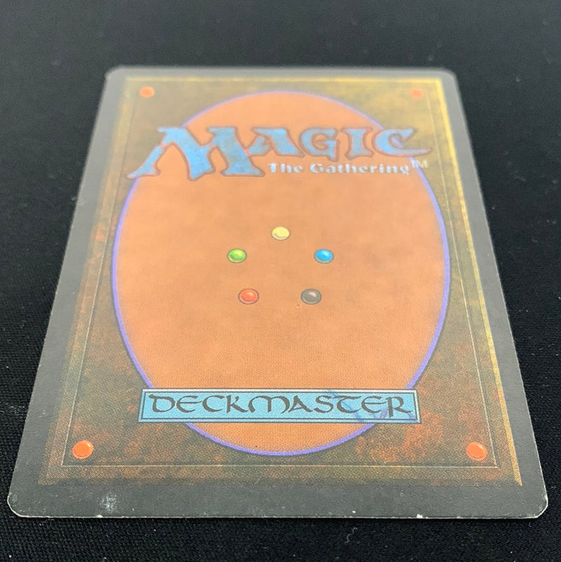 Magic the Gathering Savannah - Foreign White Bordered - German 