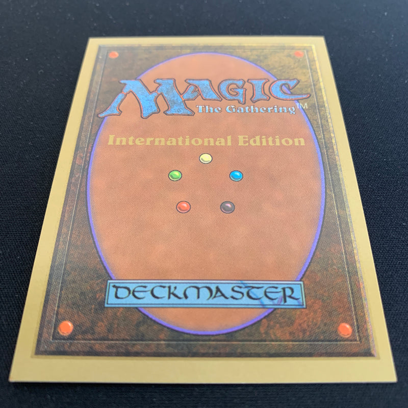 Magic the Gathering Savannah - International Edition 