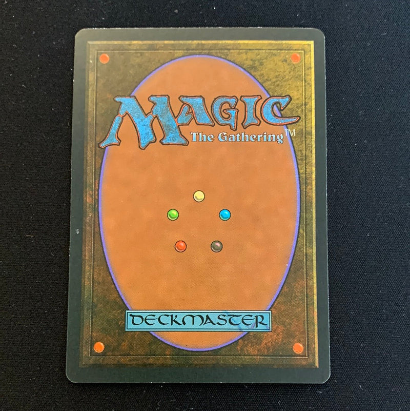 Magic the Gathering Scrubland - Foreign Black Bordered - German 