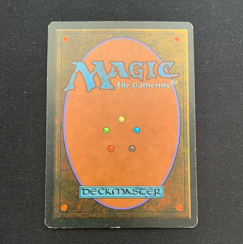 Magic the Gathering Scrubland - Foreign Black Bordered - German 