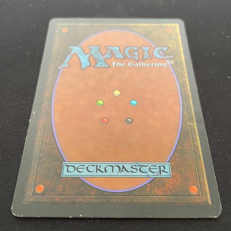 Magic the Gathering Scrubland - Foreign Black Bordered - German 