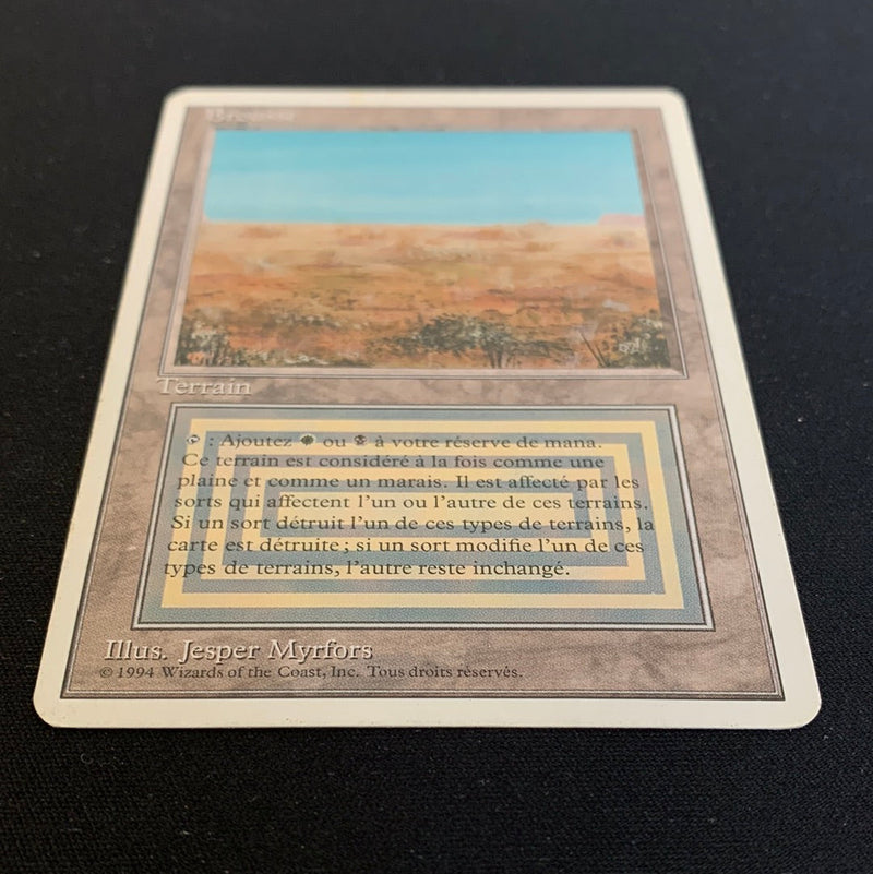 Magic the Gathering Scrubland - Foreign White Bordered - French 