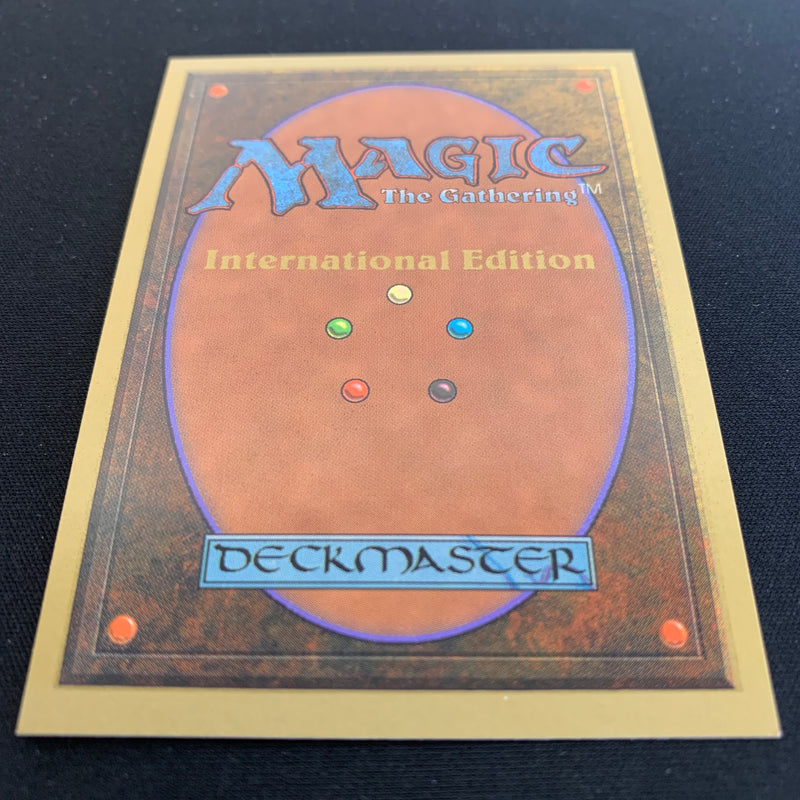 Magic the Gathering Scrubland - International Edition 