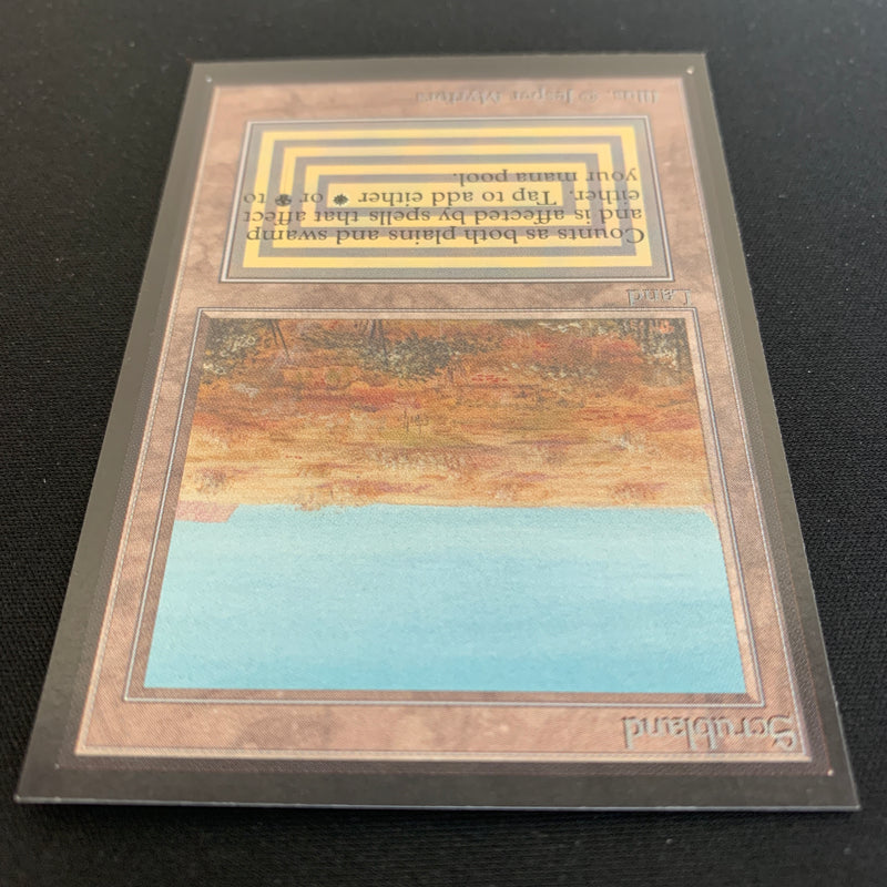 Magic the Gathering Scrubland - International Edition 