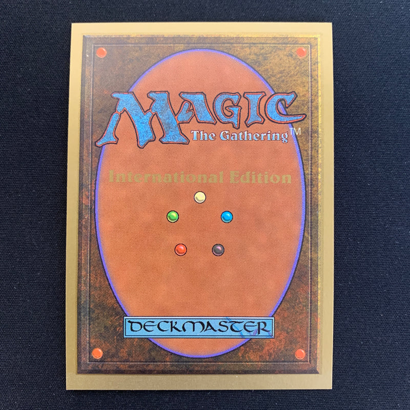 Magic the Gathering Scrubland - International Edition 