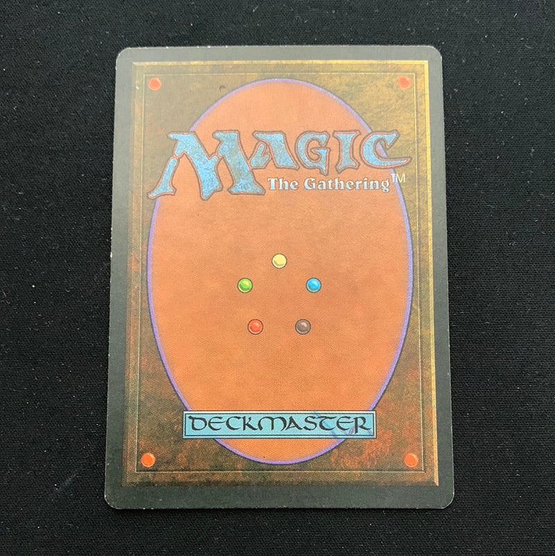 Magic the Gathering Taiga - Foreign Black Bordered - German 