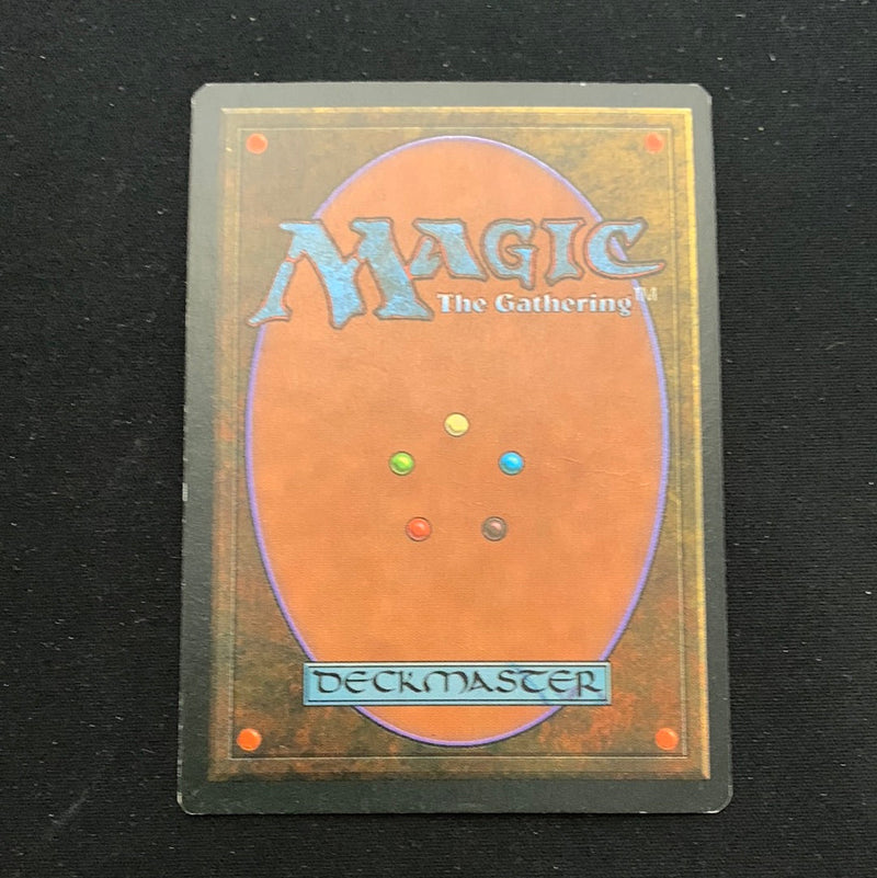 Magic the Gathering Taiga - Foreign Black Bordered - German 