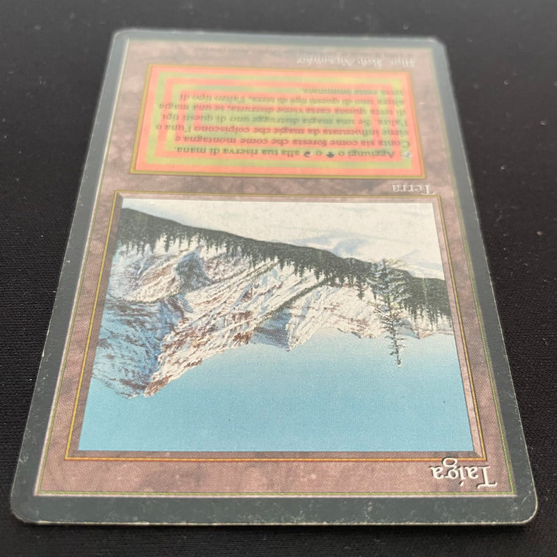 Magic the Gathering Taiga - Foreign Black Bordered - German 