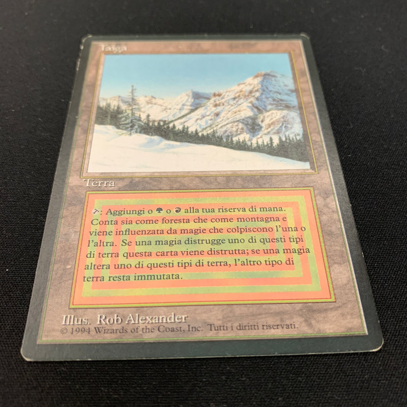 Magic the Gathering Taiga - Foreign Black Bordered - Italian 