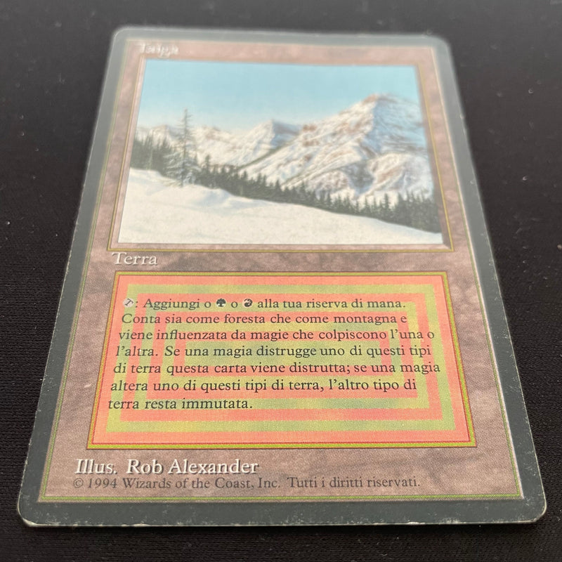 Magic the Gathering Taiga - Foreign Black Bordered - Italian 