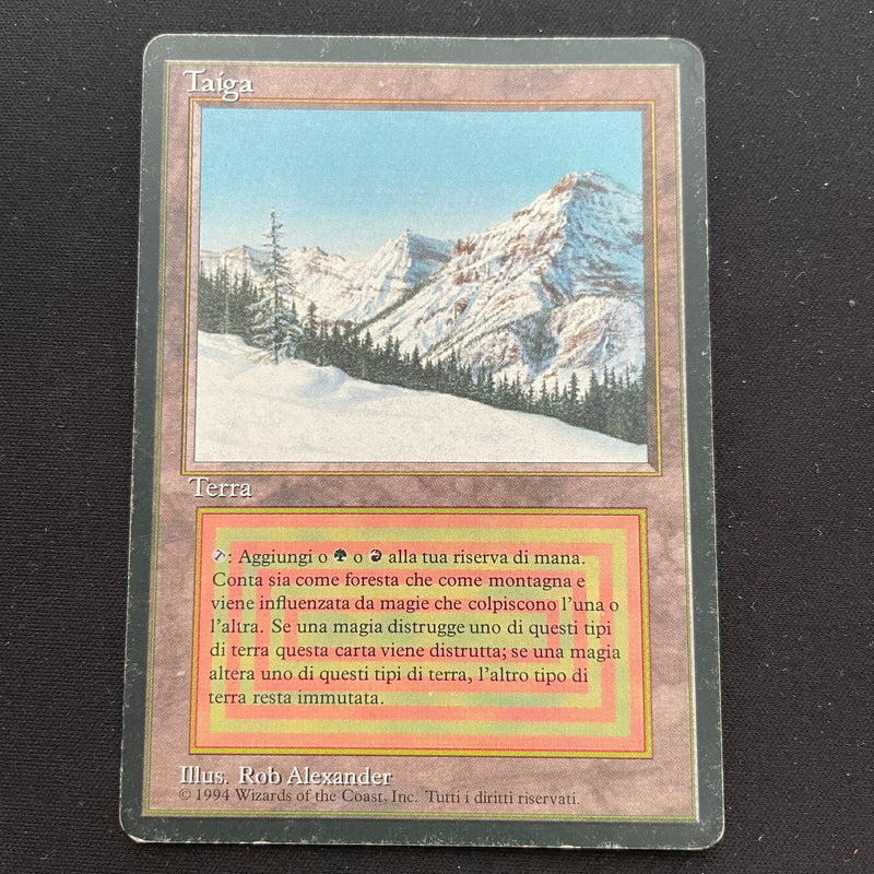 Magic the Gathering Taiga - Foreign Black Bordered - Italian 