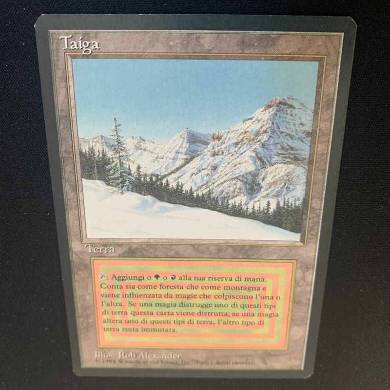 Magic the Gathering Taiga - Foreign Black Bordered - Italian 