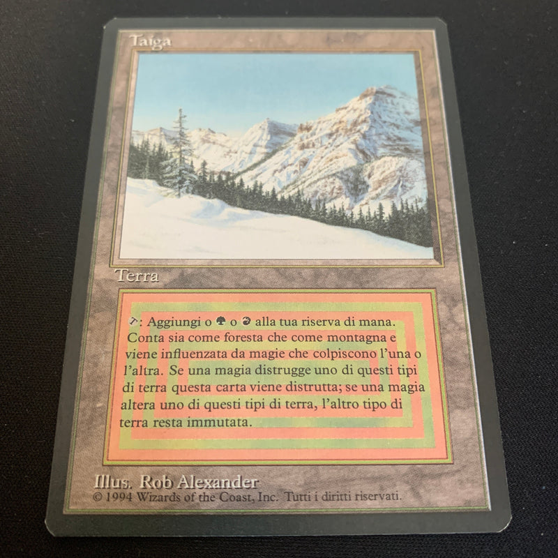 Magic the Gathering Taiga - Foreign Black Bordered - Italian 