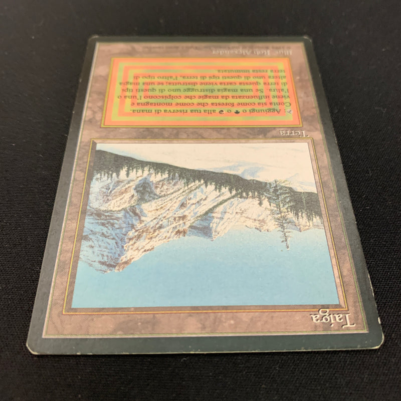 Magic the Gathering Taiga - Foreign Black Bordered - Italian 