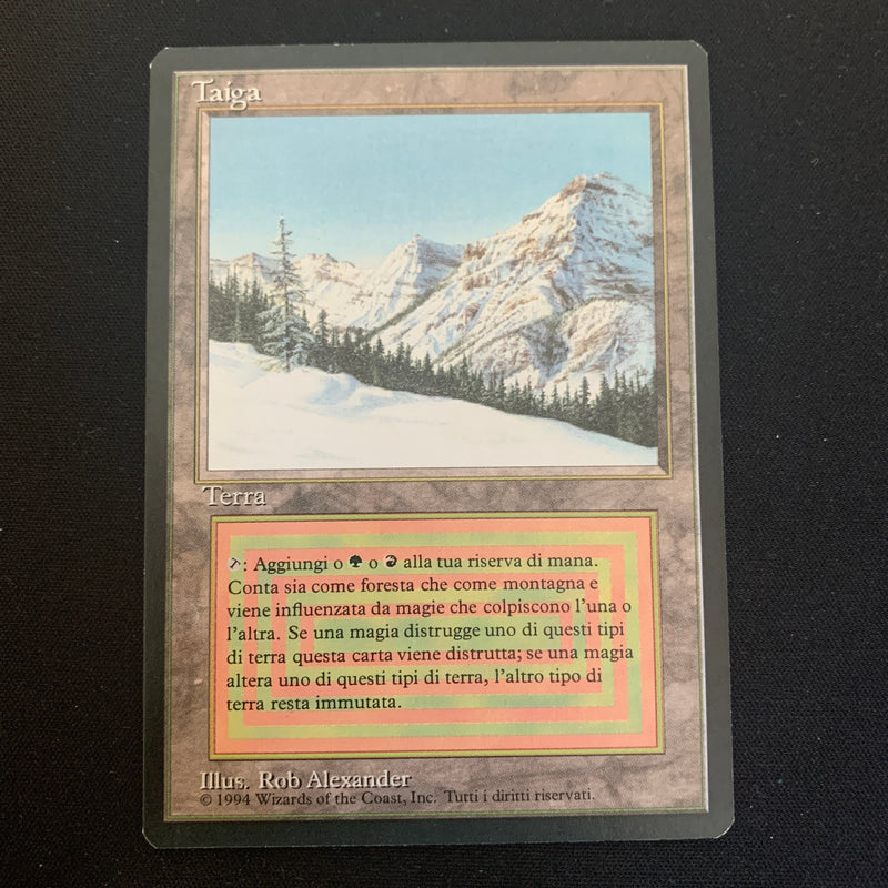 Magic the Gathering Taiga - Foreign Black Bordered - Italian 