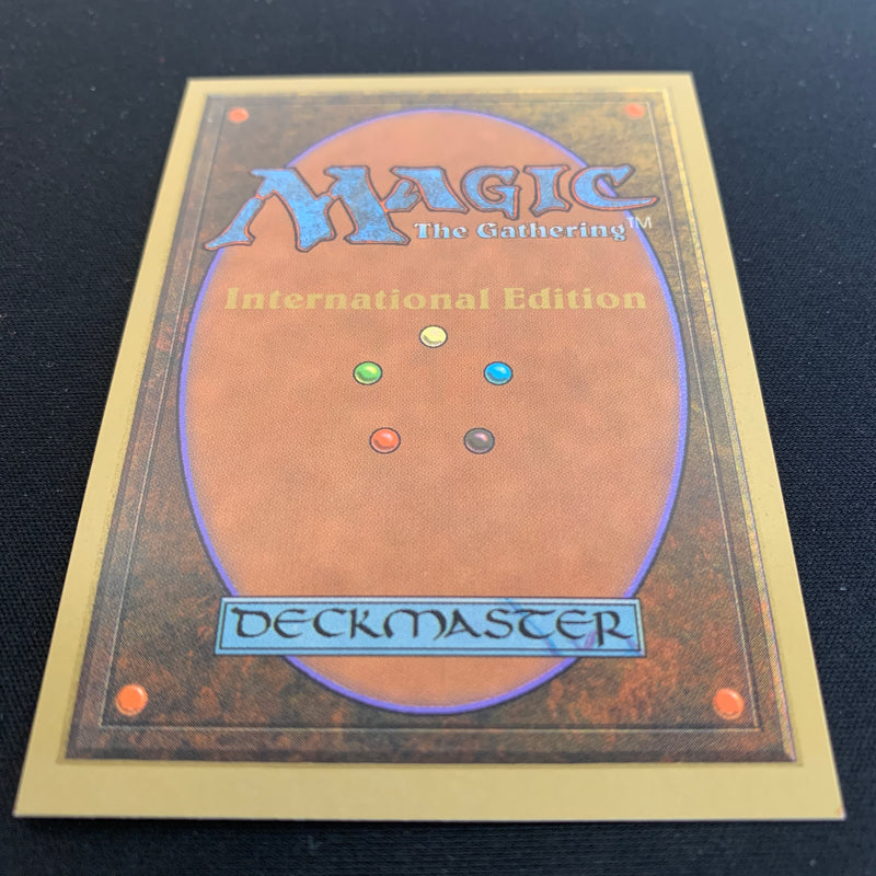 Magic the Gathering Taiga - International Edition 