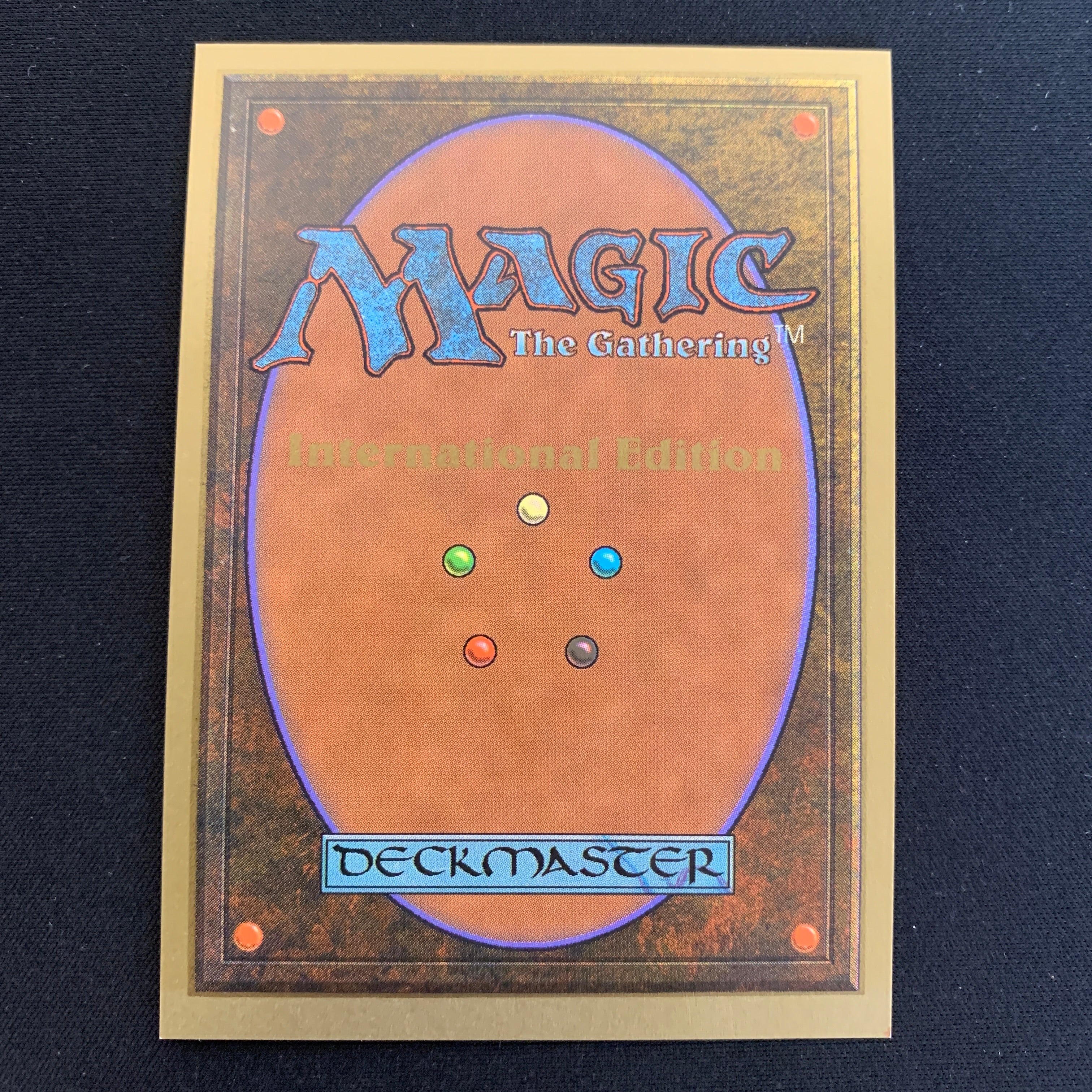 MTG Singles - Taiga - International Edition - 