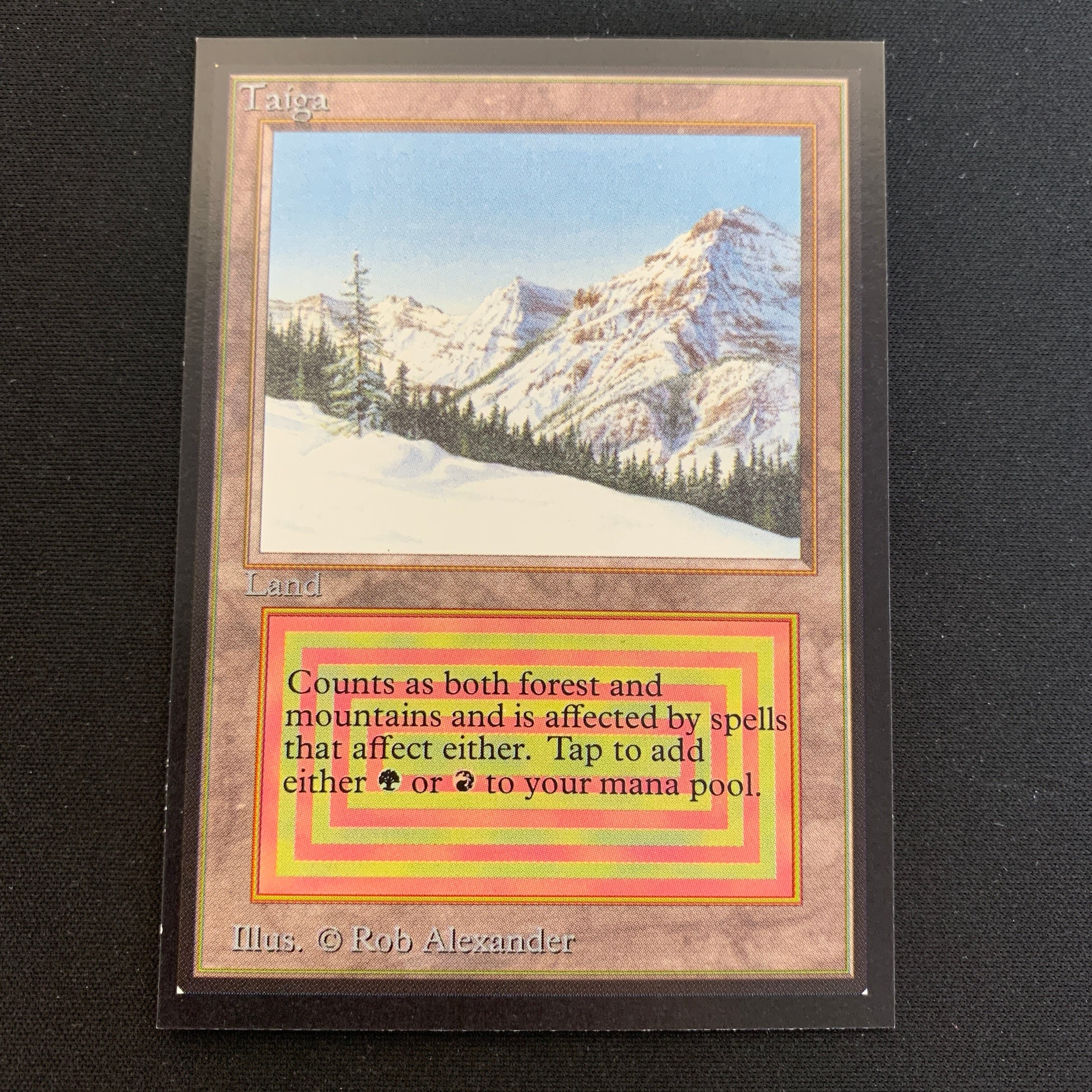 MTG Singles - Taiga - International Edition - 