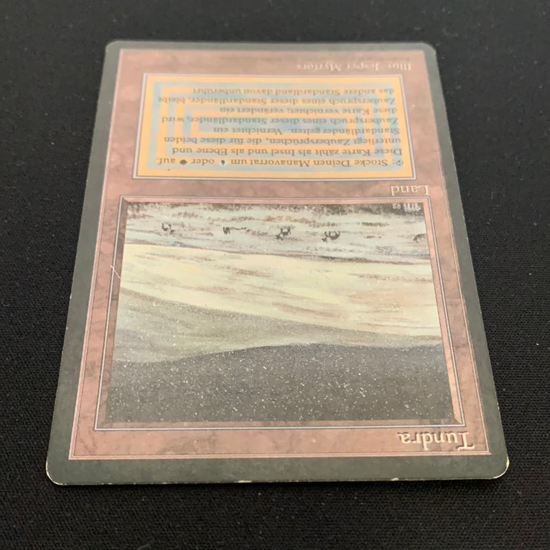 Magic the Gathering Tundra - Foreign Black Bordered - German 