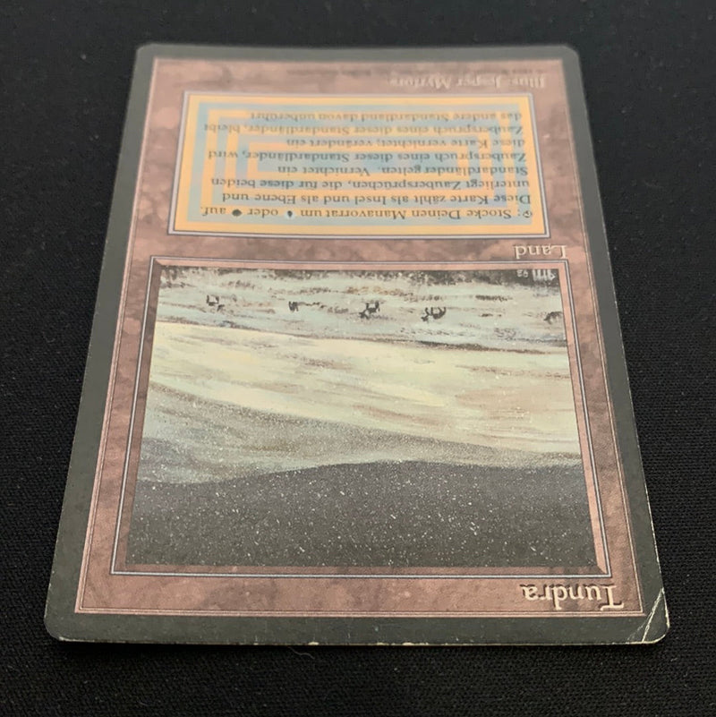 Magic the Gathering Tundra - Foreign Black Bordered - German 