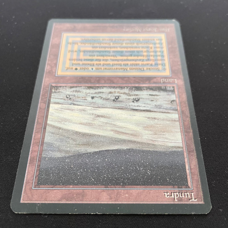 Magic the Gathering Tundra - Foreign Black Bordered - German 