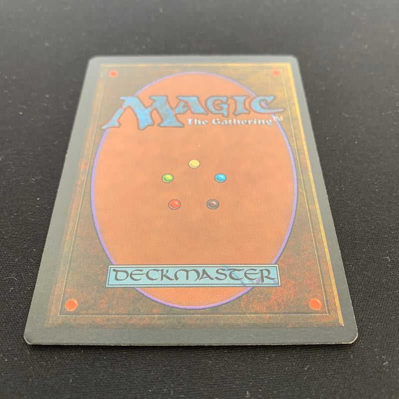 Magic the Gathering Tundra - Foreign Black Bordered - German 