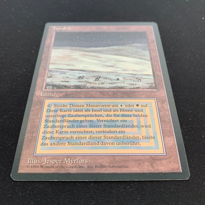 Magic the Gathering Tundra - Foreign Black Bordered - German 