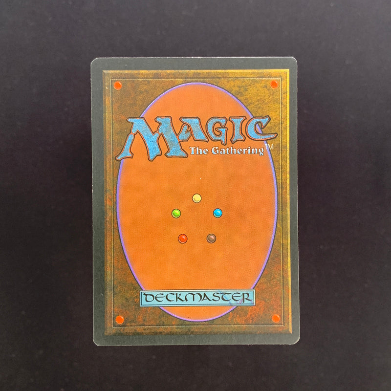 Magic the Gathering Tundra - Foreign Black Bordered - German 