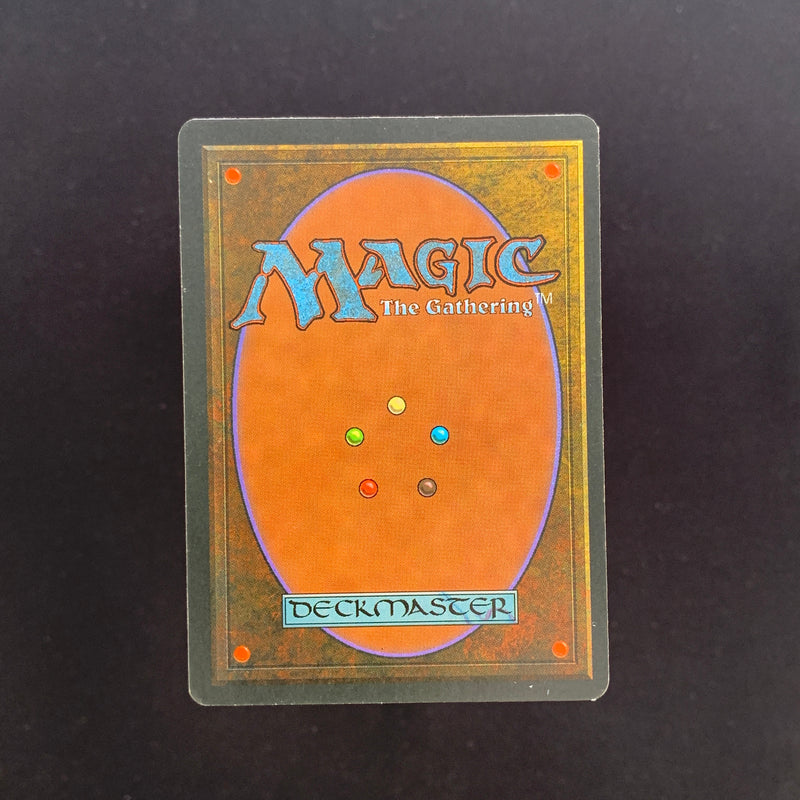 Magic the Gathering Tundra - Foreign Black Bordered - German 