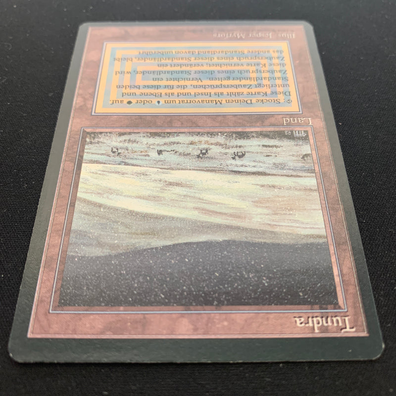 Magic the Gathering Tundra - Foreign Black Bordered - German 