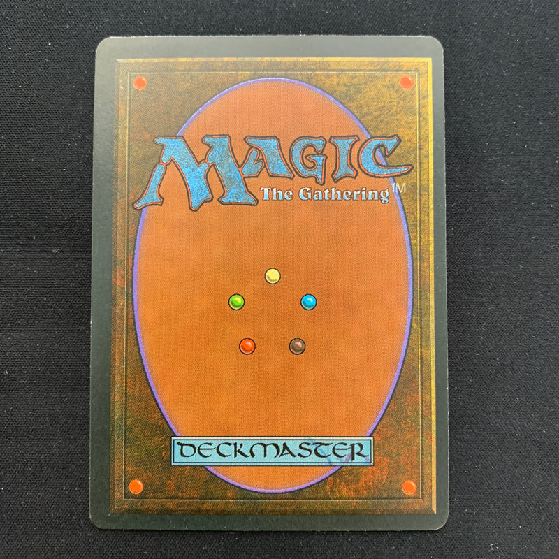 Magic the Gathering Tundra - Foreign Black Bordered - German 