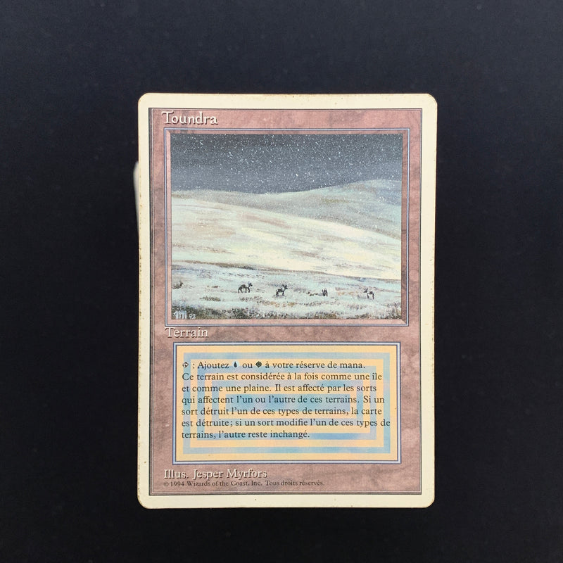 Magic the Gathering Tundra - Foreign White Bordered - French 