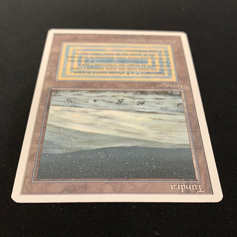 Magic the Gathering Tundra - Foreign White Bordered - Italian 