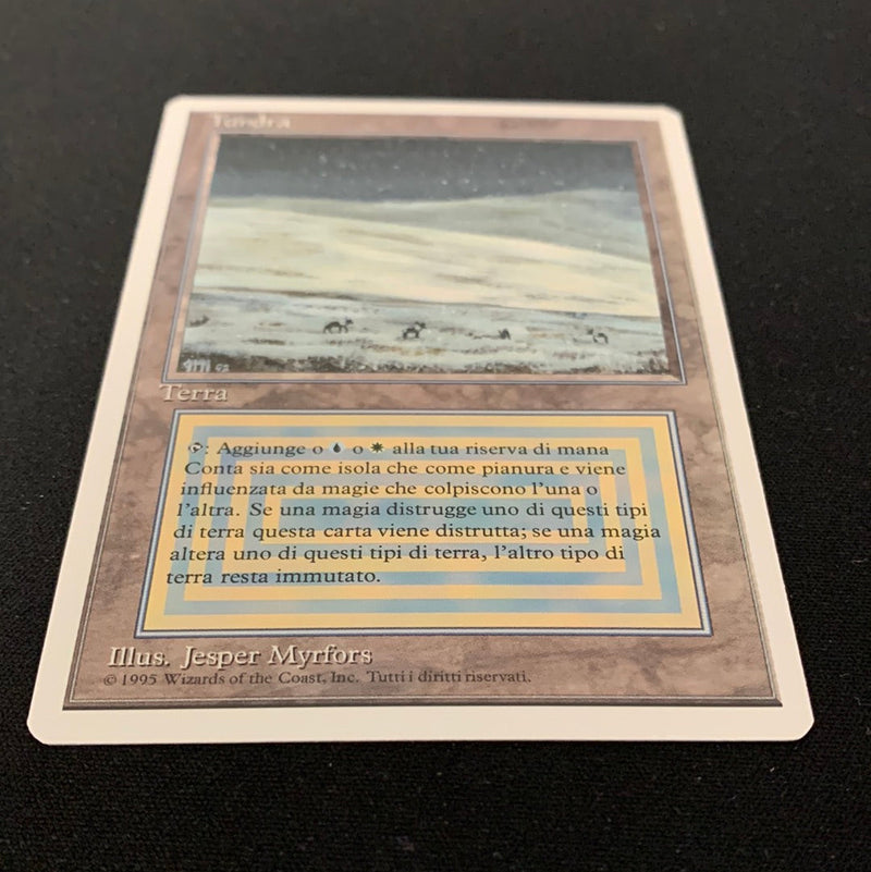 Magic the Gathering Tundra - Foreign White Bordered - Italian 