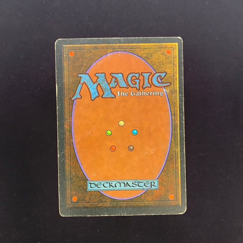 Magic the Gathering Tundra - Foreign White Bordered - Italian 