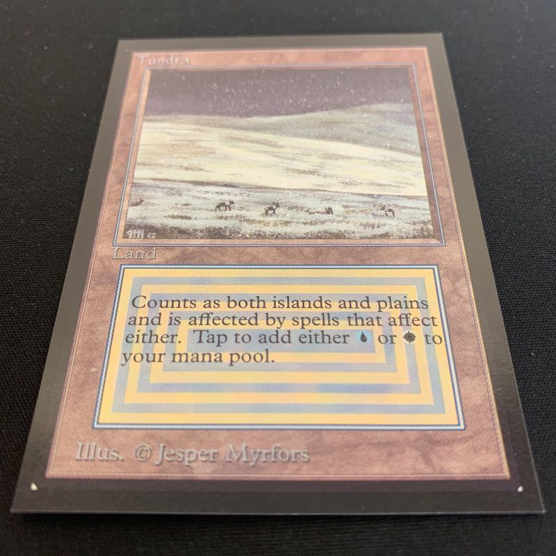 Magic the Gathering Tundra - International Edition 