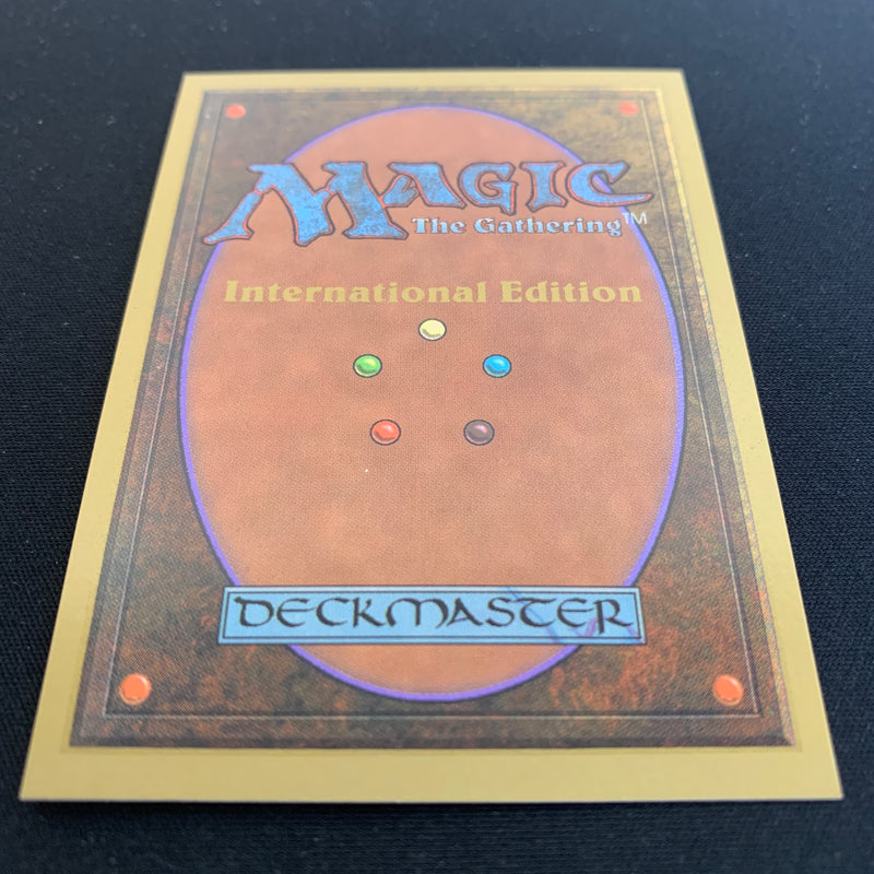 Magic the Gathering Tundra - International Edition 