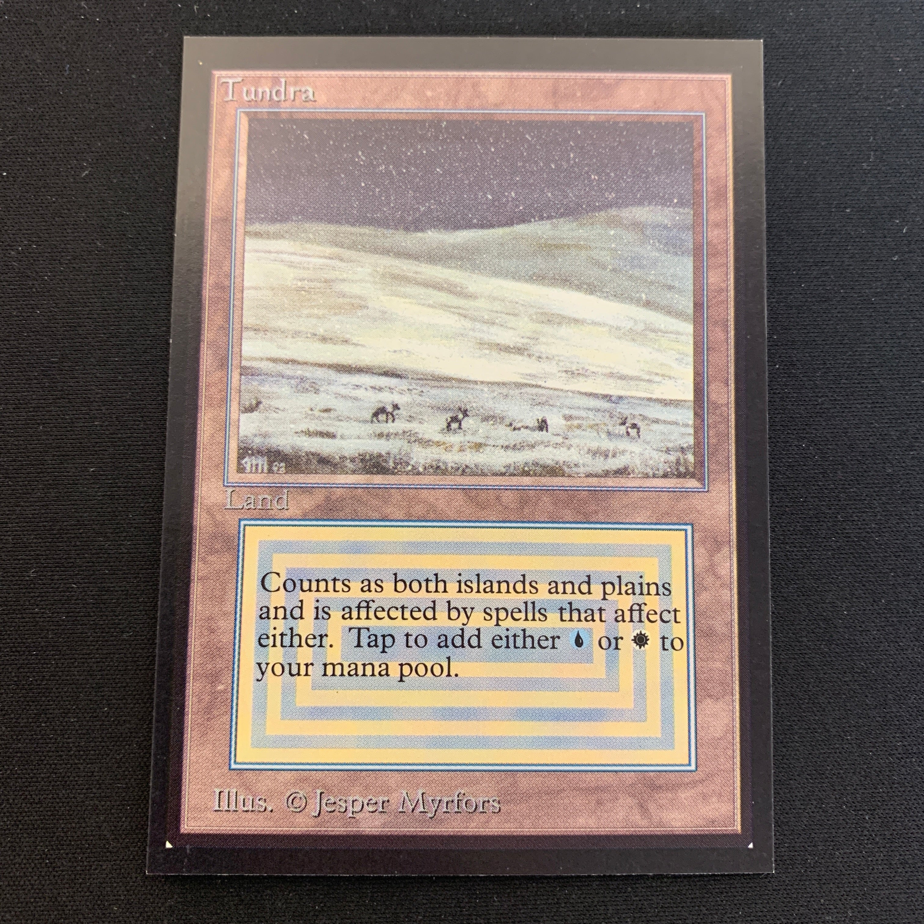MTG Singles - Tundra - International Edition - 