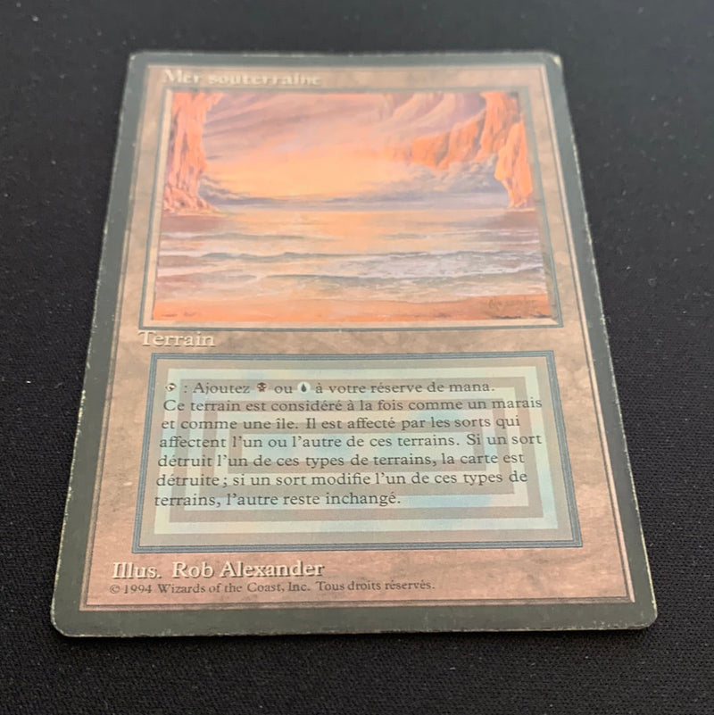 Magic the Gathering Underground Sea - Foreign Black Bordered - French 