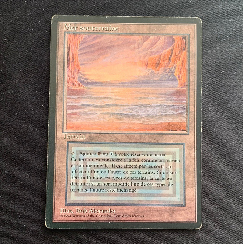 Magic the Gathering Underground Sea - Foreign Black Bordered - French 