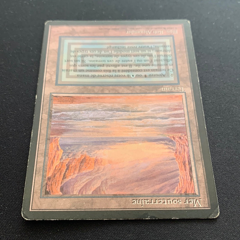 Magic the Gathering Underground Sea - Foreign Black Bordered - French 