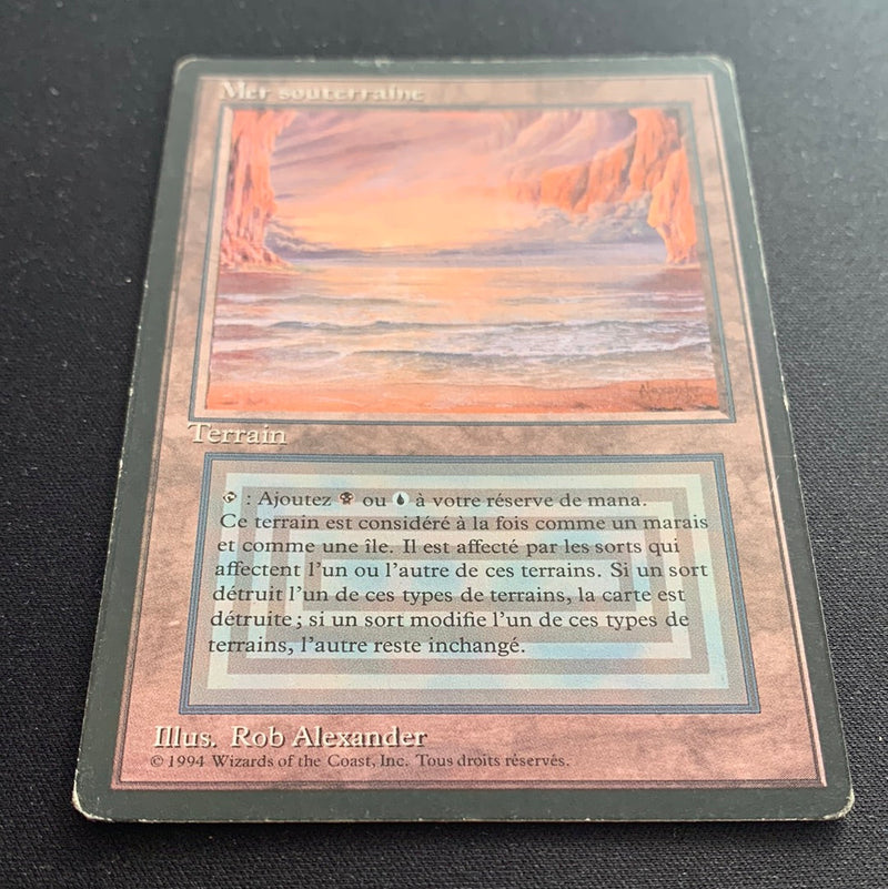 Magic the Gathering Underground Sea - Foreign Black Bordered - French 