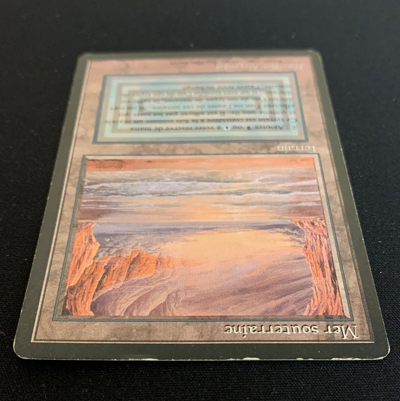 Magic the Gathering Underground Sea - Foreign Black Bordered - French 