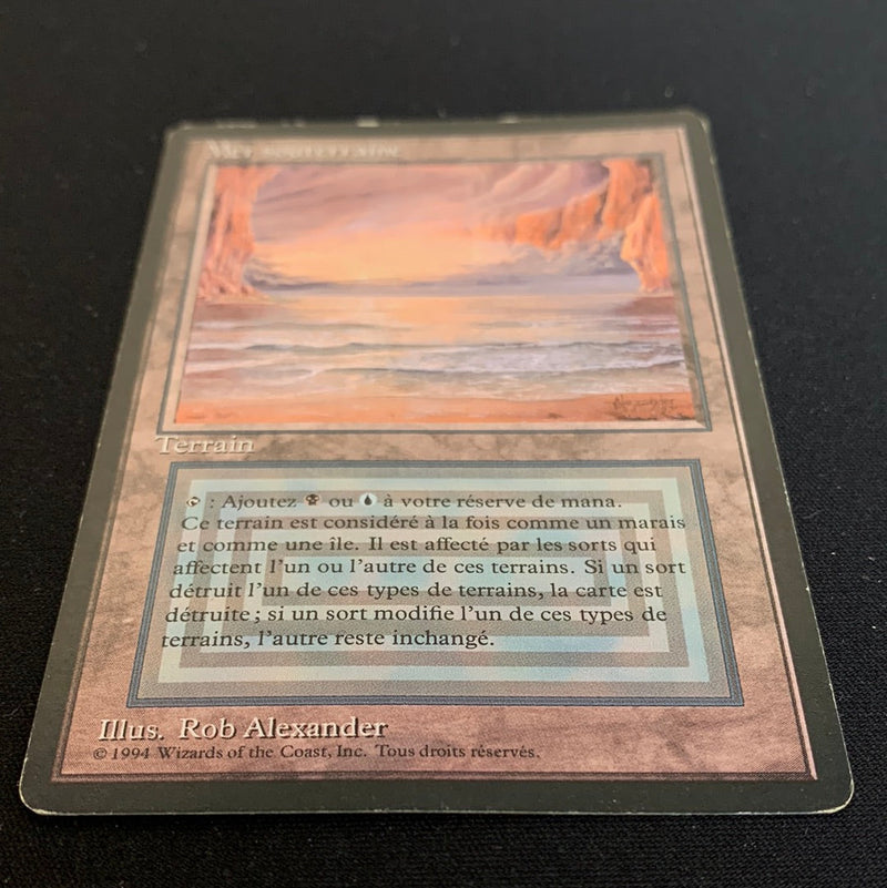 Magic the Gathering Underground Sea - Foreign Black Bordered - French 