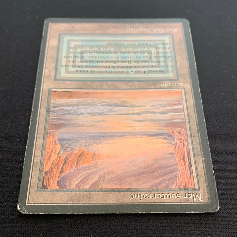 Magic the Gathering Underground Sea - Foreign Black Bordered - French 