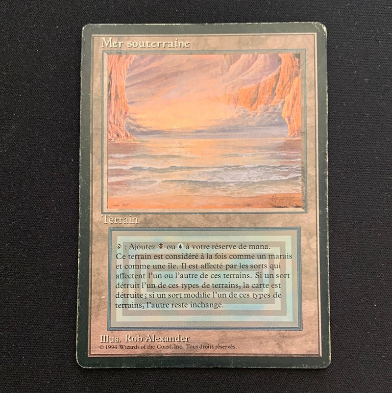 Magic the Gathering Underground Sea - Foreign Black Bordered - French 