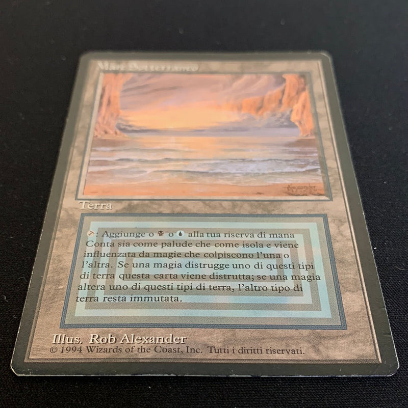 Magic the Gathering Underground Sea - Foreign Black Bordered - Italian 